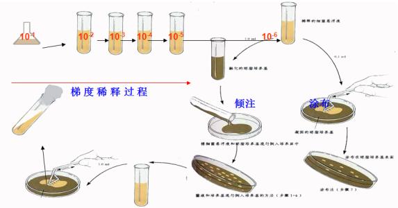 微生物檢測.jpg